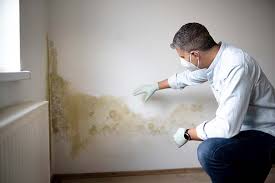 Best Industrial Mold Remediation  in Montpelier, ID